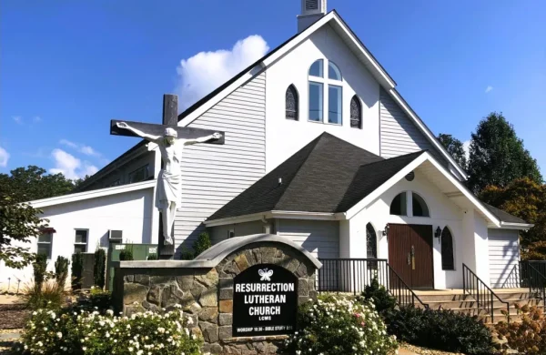 Close-up-with-flowers-scaled-e1700169325681